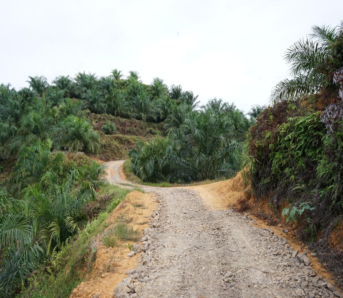 Kebun Gonting A
